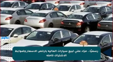 رسميًا.. مزاد علني لبيع سيارات المالية بأرخص الأسعار وضوابط الاشتراك كاملة